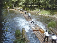 (Bildnachweis: Mit freundlicher Genehmigung der Gemeinde Unterreichenbach) (Bildnachweis: Mit freundlicher Genehmigung der Gemeinde Unterreichenbach)