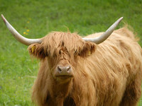 (Bildnachweis: Mit freundlicher Genehmigung der Gemeinde Eggingen, Foto Regio-Experten) (Bildnachweis: Mit freundlicher Genehmigung der Gemeinde Eggingen, Foto Regio-Experten)