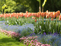 (Bildnachweis: Mit freundlicher Genehmigung der Stadt Lahr) (Bildnachweis: Mit freundlicher Genehmigung der Stadt Lahr)