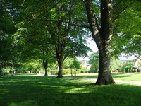 (Bildnachweis: Touristik und Kur Schömberg) (Bildnachweis: Touristik und Kur Schömberg)