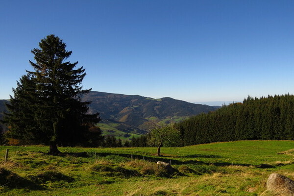 Copyright: (4ws-Netdesign) Copyright: (4ws-Netdesign)