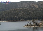 Schluchsee (See, Amalienruhe und Ort)